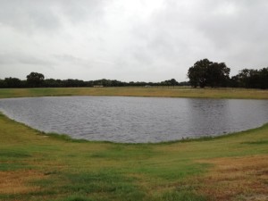 Pond after treatment