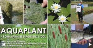 Aquaplant Website